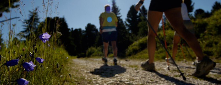 Nordic Walking a Venezia