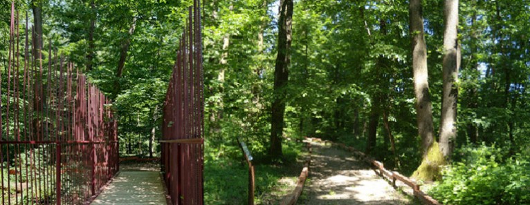 Bosco di Carpenedo – Riapertura al pubblico fino al 30 giugno