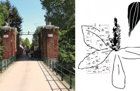 Il Giardino Promesso – Appunti per una botanica manzoniana a Forte Marghera