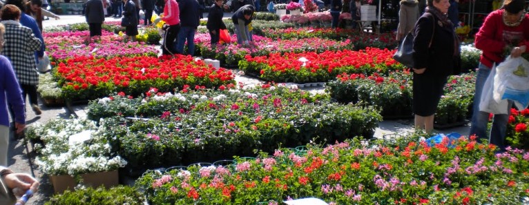 38a edizione di Noale in Fiore