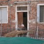 anziana-sul-rivo_jpg