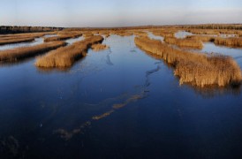 La Laguna di Caorle: un ecosistema da esplorare
