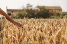 Agriturismo La Restera del Sile